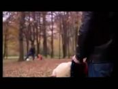 Фото о вреде алкоголя