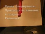 алкоголь вред