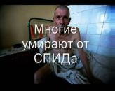 алкоголь вред