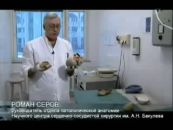 Влияние пива на организм