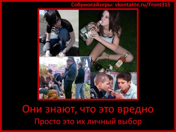 PICTURES ALCOHOL