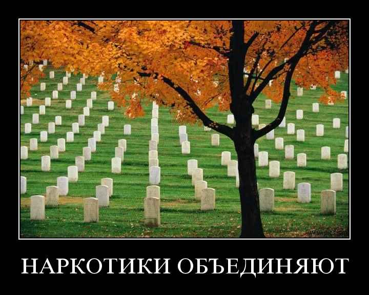 наркомания в картинках, последствия наркомании фото, картинки против наркомании, картинки на тему наркомания