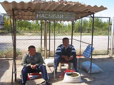 купить насвай