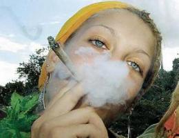The Effect of Marijuana on the Body, the Effect of Marijuana on Humans