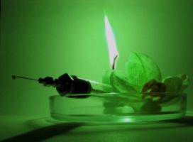 Drug addiction treatment