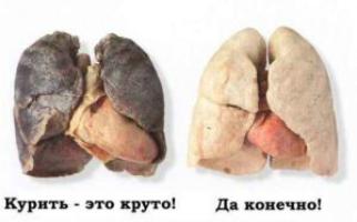 The effects of smoking on the lungs