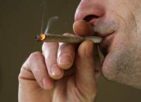 the harm of marijuana, the effect of marijuana on the body